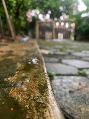 Gate road wet after rain with trees on both sides in bekasi jakarta, Indoensia