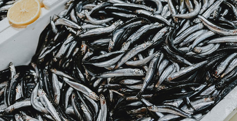 raw fish sprat in a box on the market