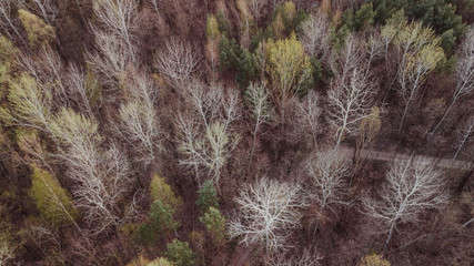 aerial veiw of empty rural  road in forest. drone shot. toned picture