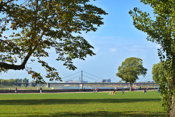 Obraz premium unidentified people walking in the park near the river Rhine in Dusseldorf with the soccer stadium in the background