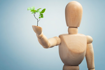 Sprouting back to life,  small tree growing from wooden human puppets's hand 