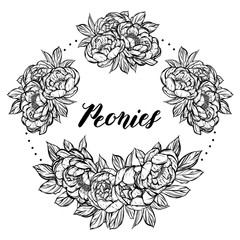 Vector illustration.Flower decoration of peonies. prints on T-shirts. background white,wreath.Handmade,card for you