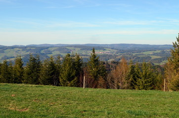 Fototapeta na wymiar Grüner Schwarzwald bei Breitnau