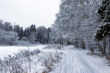 snow covered road