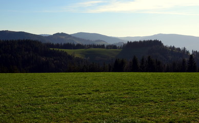 Grüner Schwarzwald bei Breitnau