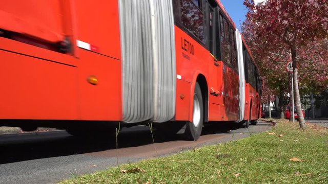 Curitiba public bus transport