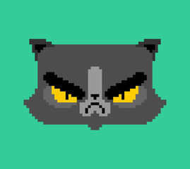 Grumpy Cat face pixel art. 8 bit Angry pet. Pixelate animal vector illustration