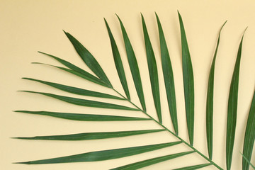 leaf texture