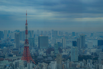 Fototapeta premium 六本木ヒルズから見える東京の街並み