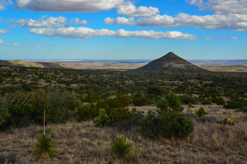 Obraz premium Dry tree, cacti and other desert plants on a cone-shaped landscape in Guadalupe National Park, New Mexico