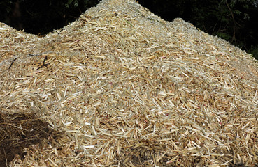 Spargel Spargelschalen 