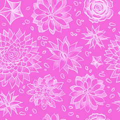 sacculents seamless pattern, floral background