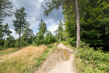 Hiking trail to Jaworzyna Krynicka in Poland