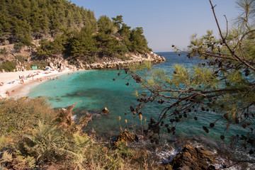 Marble beach, Thassos Island, Greece  in the summer