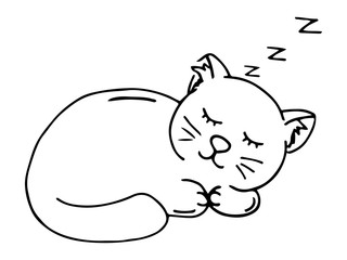 Funny handmade cat. Animals vector illustration with a charming cat. The kitten is sleeping.
