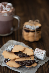 chocolate chip cookies on a plate