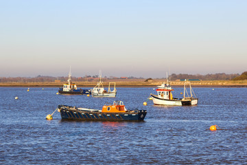 boats in the harbor