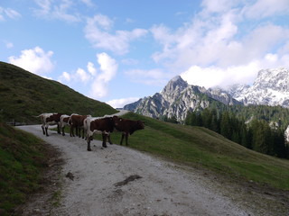 Spaziergang im Berchtesgadener Land