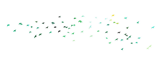 Multi-colored birds. A flock of flying rainbow birds. A lot of soaring birds. Mixed media. Vector illustration