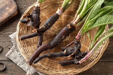 Whole comfrey roots with young leaves collected in spring