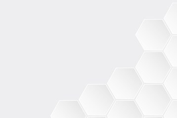 Modern white hexagon design on white background, vector illustration - Vector
