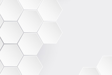 Modern white hexagon design on white background, vector illustration - Vector