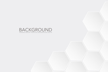 Modern white hexagon design on white background, vector illustration - Vector
