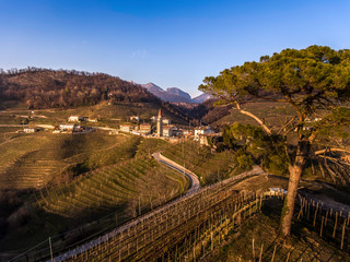 Fototapeta na wymiar Village at sunset with big tree on italian hills