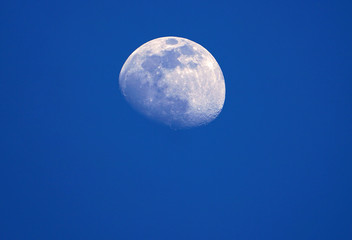 View of the moon and its craters over a blue night sky