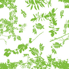 The seamless background is the silhouettes of the trees. Print tree branches. Vector illustration