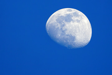 View of the moon and its craters over a blue night sky