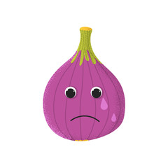 Organic cute fig fruit character