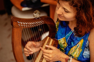 Young woman playing celtic harp and small bird.