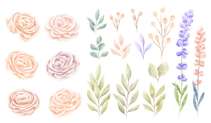 Watercolor spring flower collection