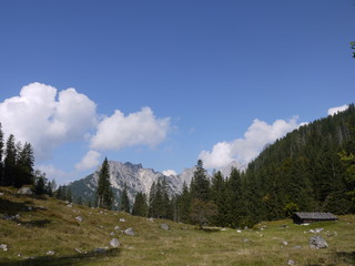 In den Alpen