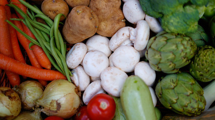 Basket of vegetables fresh from a garden.