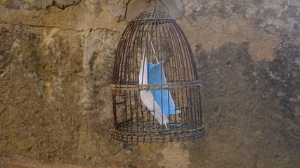 Mask inside a bird cage while hanging on an old wall.