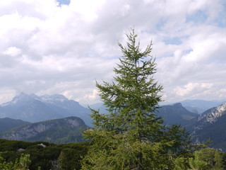 In den Alpen