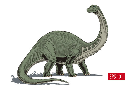 Brontosaurus or diplodocus dinosaur, comic style vector illustration