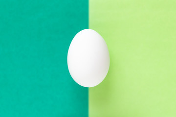 Easter egg on colorful bright green split background
