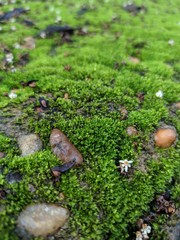 Foto de lodo em um base de concreto.