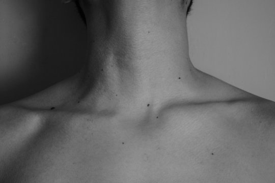 Al desnudo