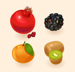 Fruit isolated on a light background. Pomegranate, Blackberry, Orange, Kiwi. Fruits set. Vector illustration