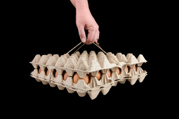 Egg tray isolated on black background. Person holding brown chicken eggs in package