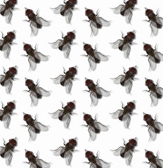 Group fly pattern 