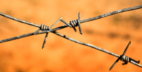 Social distance during quarantine and isolation. Closed territory with barbed wire. Barbed wire on a background of nature.