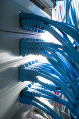 A lot of blue UTP patch cables plugged into switches