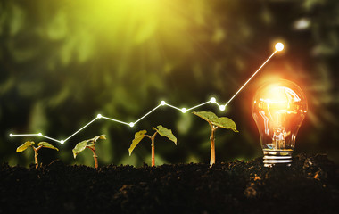  Lightbulb is located on the soil, and plant are growing.Renewable energy generation is essential...