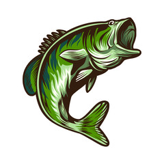 bass fish fishing vector illustration design isolated on white background