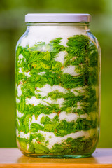 Jar full of spruce tip and sugar. Four weeks on sun and syrup is ready.